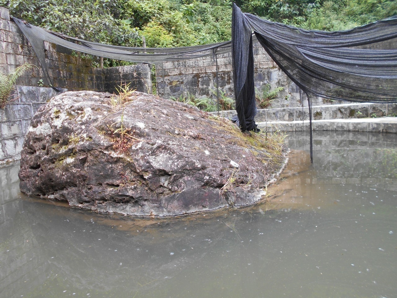 老虎箐温泉