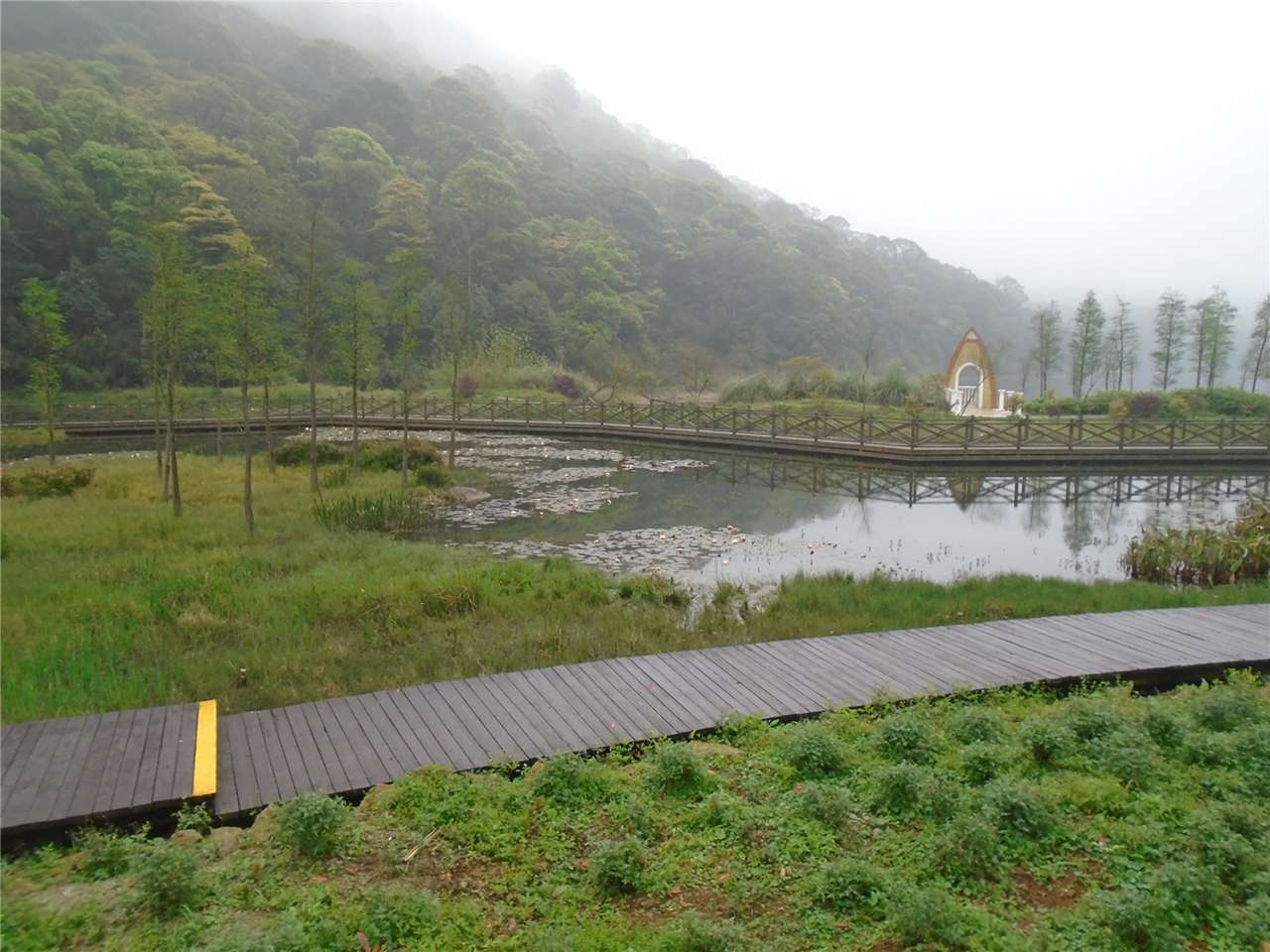 水生植物园