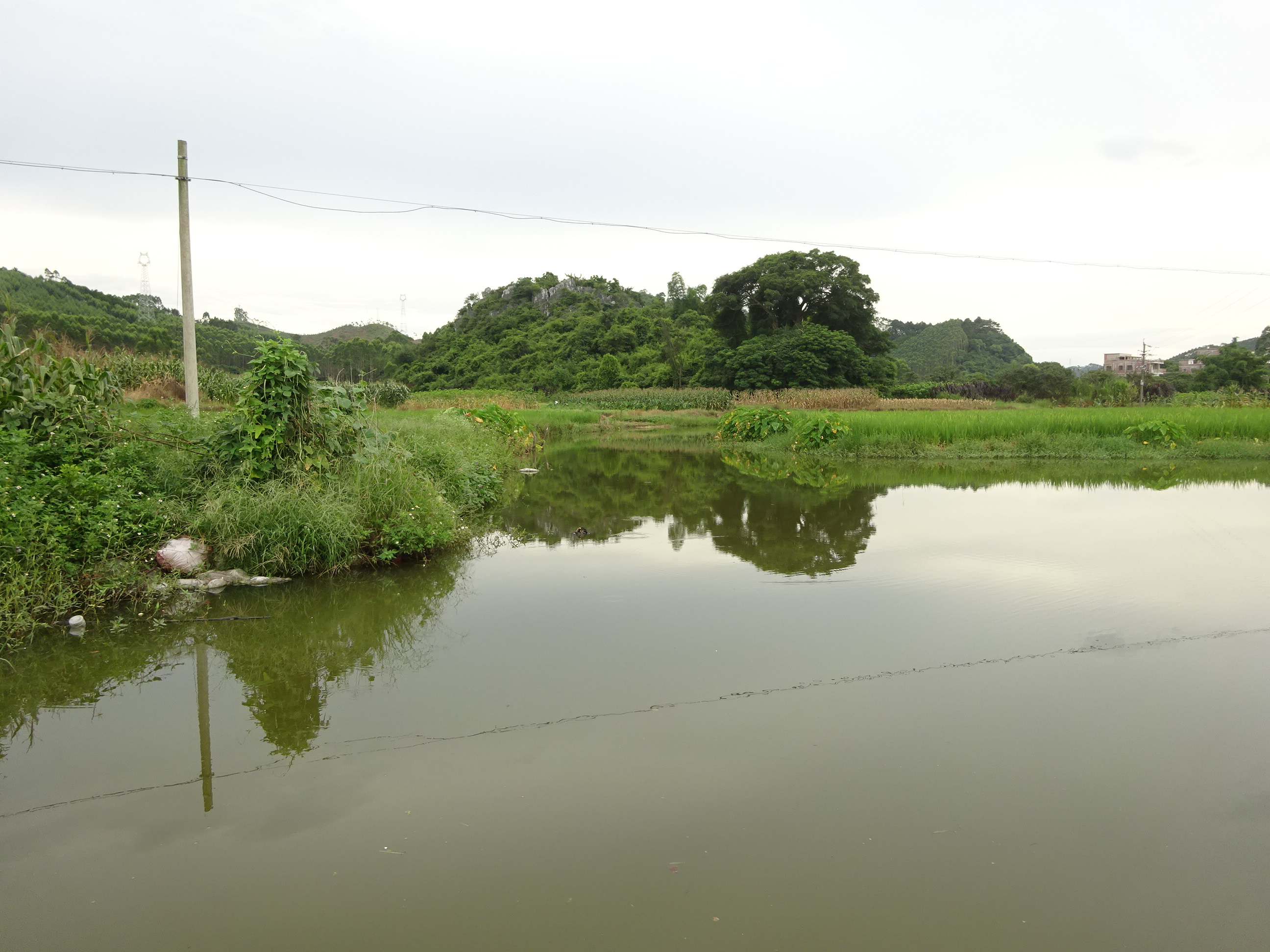 竹标河