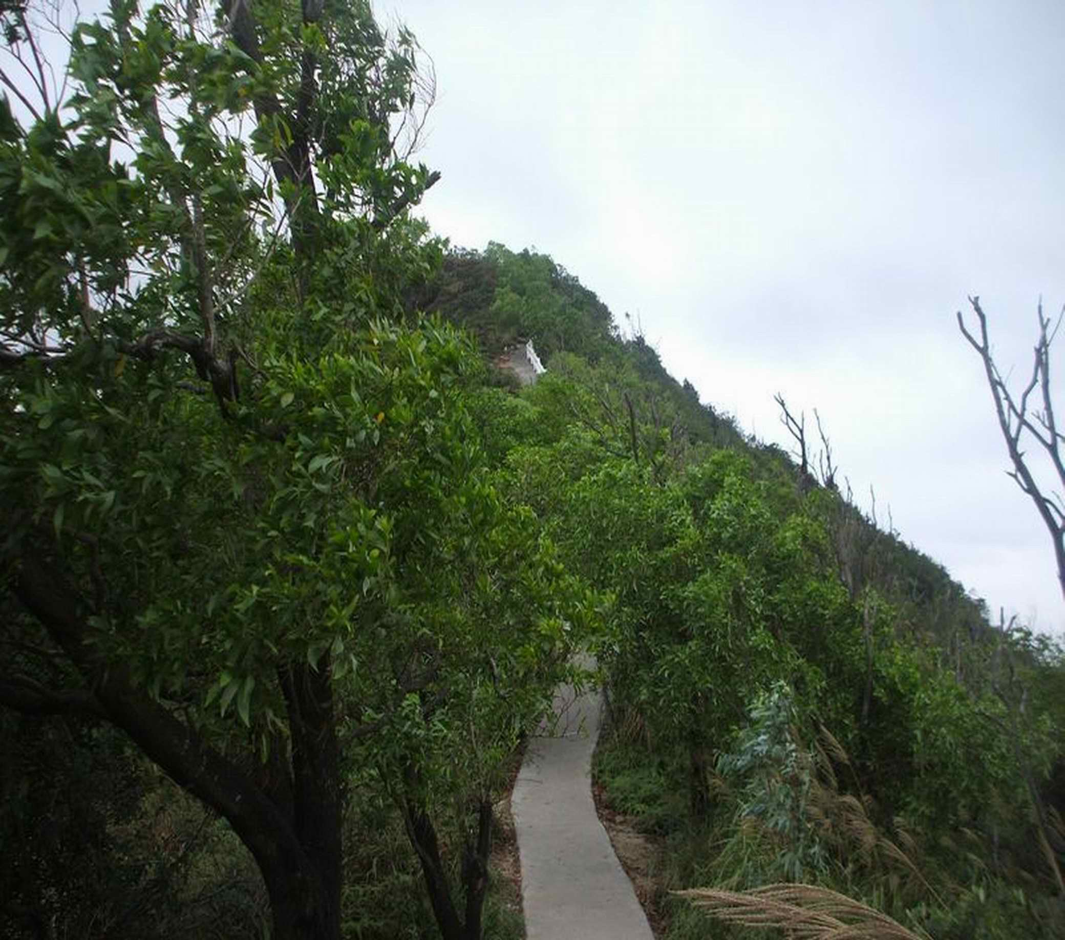 拦浪山郊野森林公园