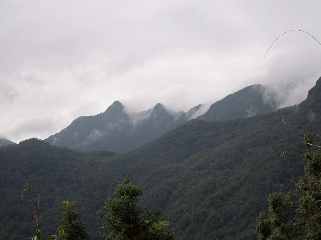 东观音山自然保护区