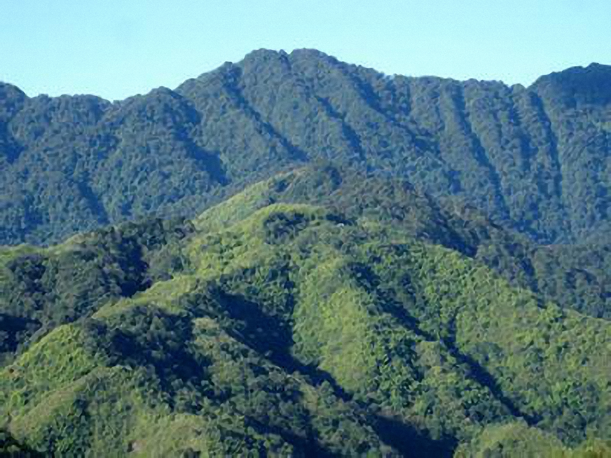 西隆山自然保护区