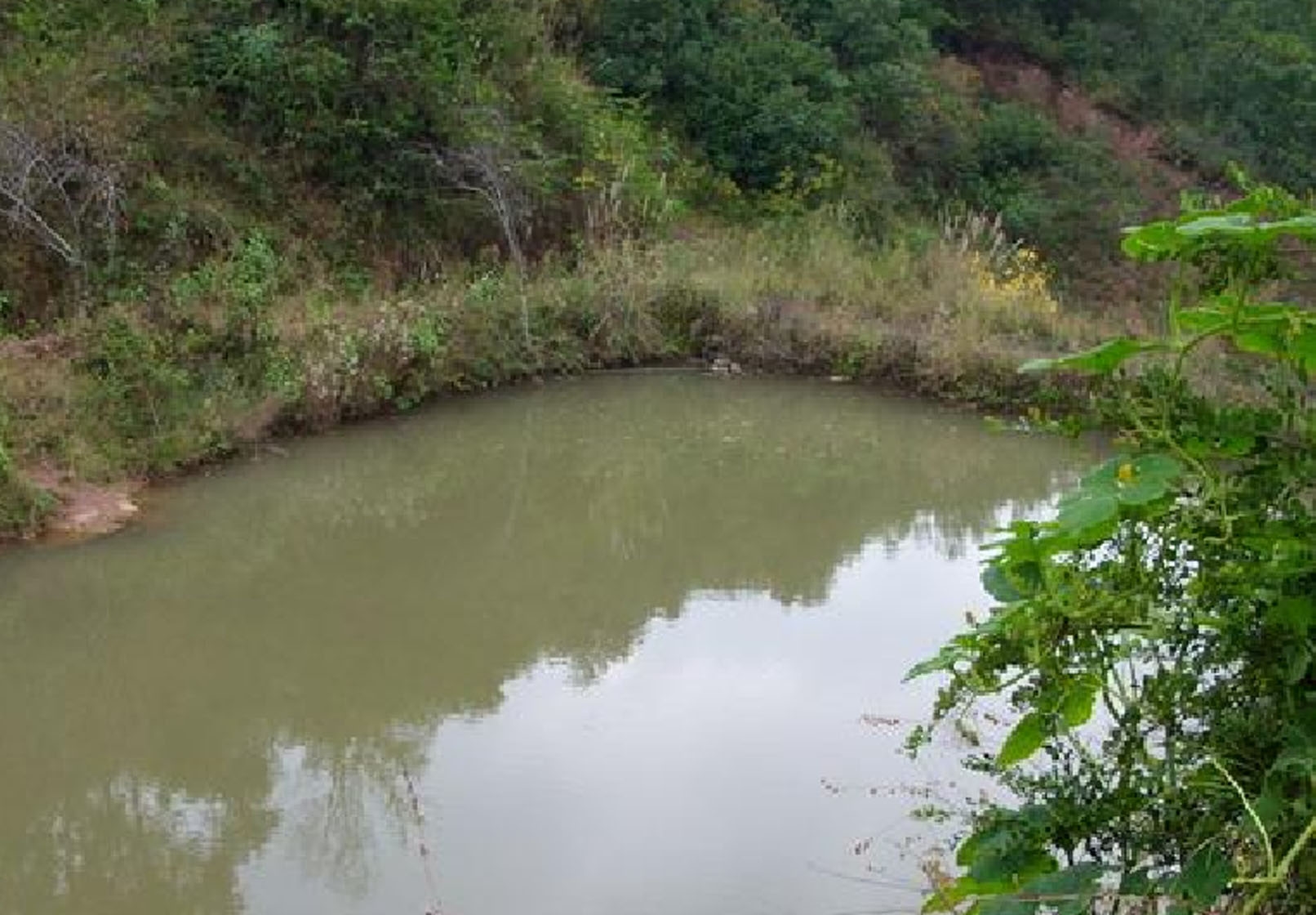 鲍家石龙坝