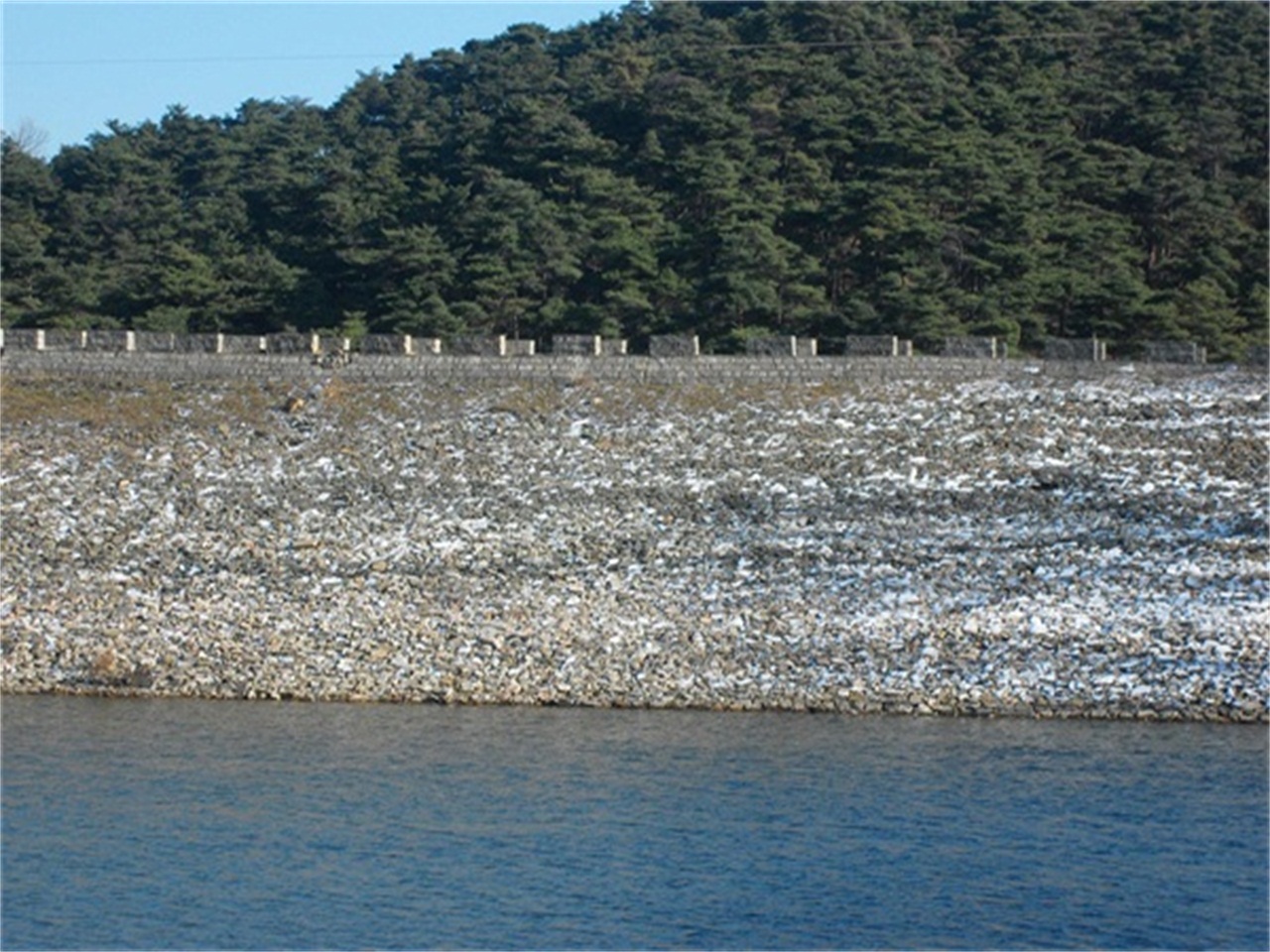 项庄水库