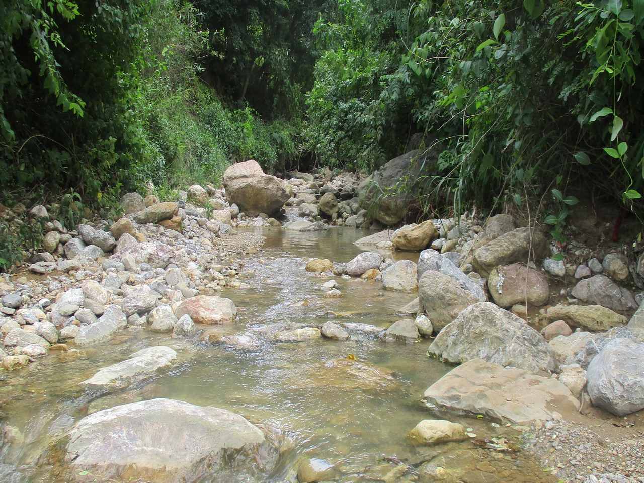 拉鲁坝龙