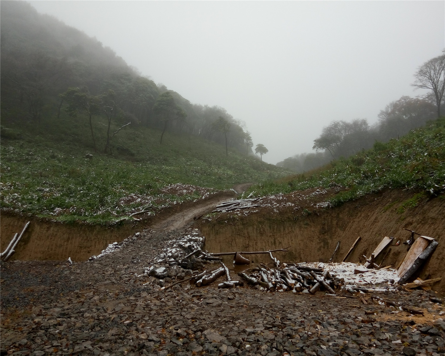 高山杜鹃园