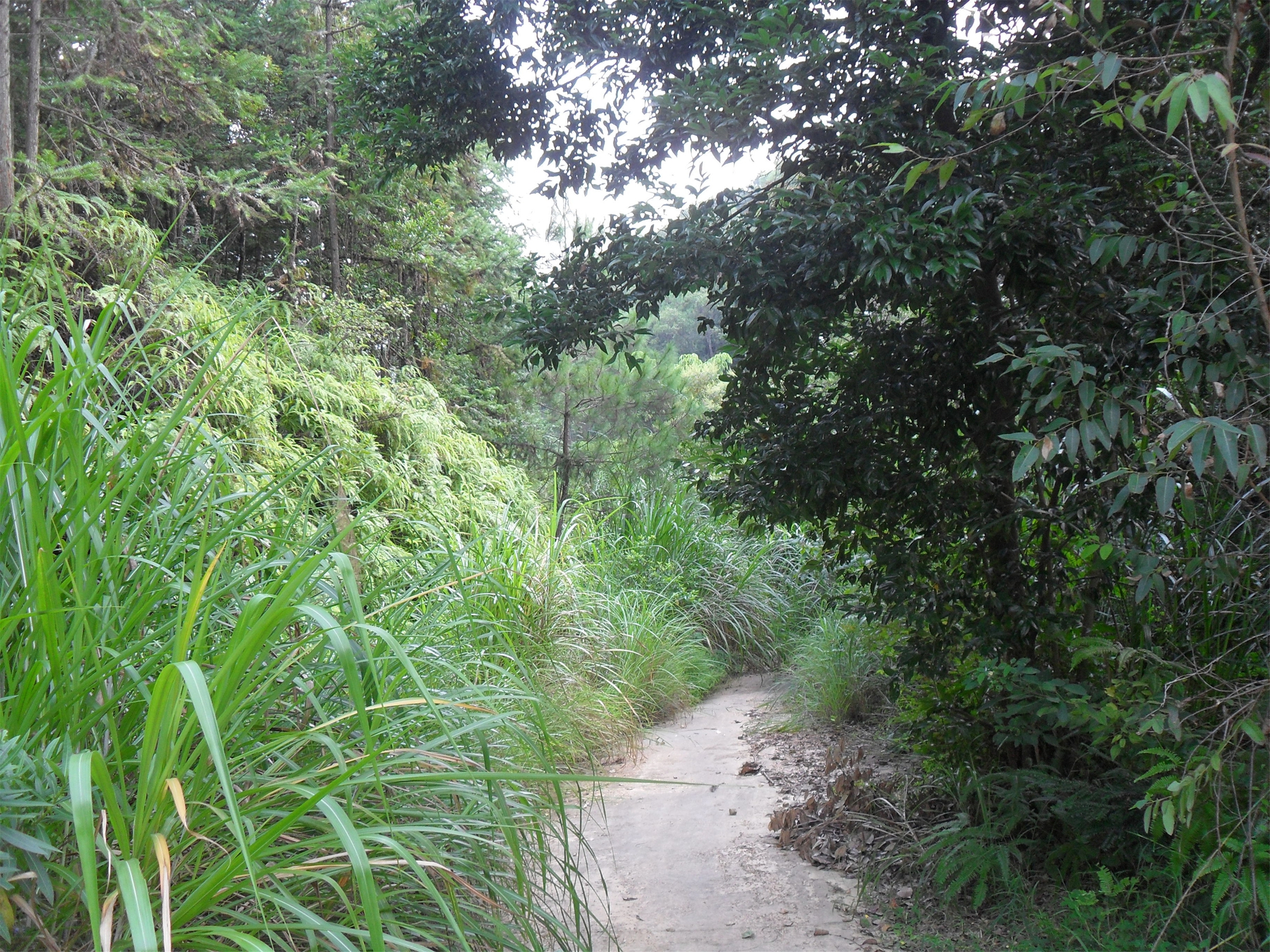 梅雁植物园