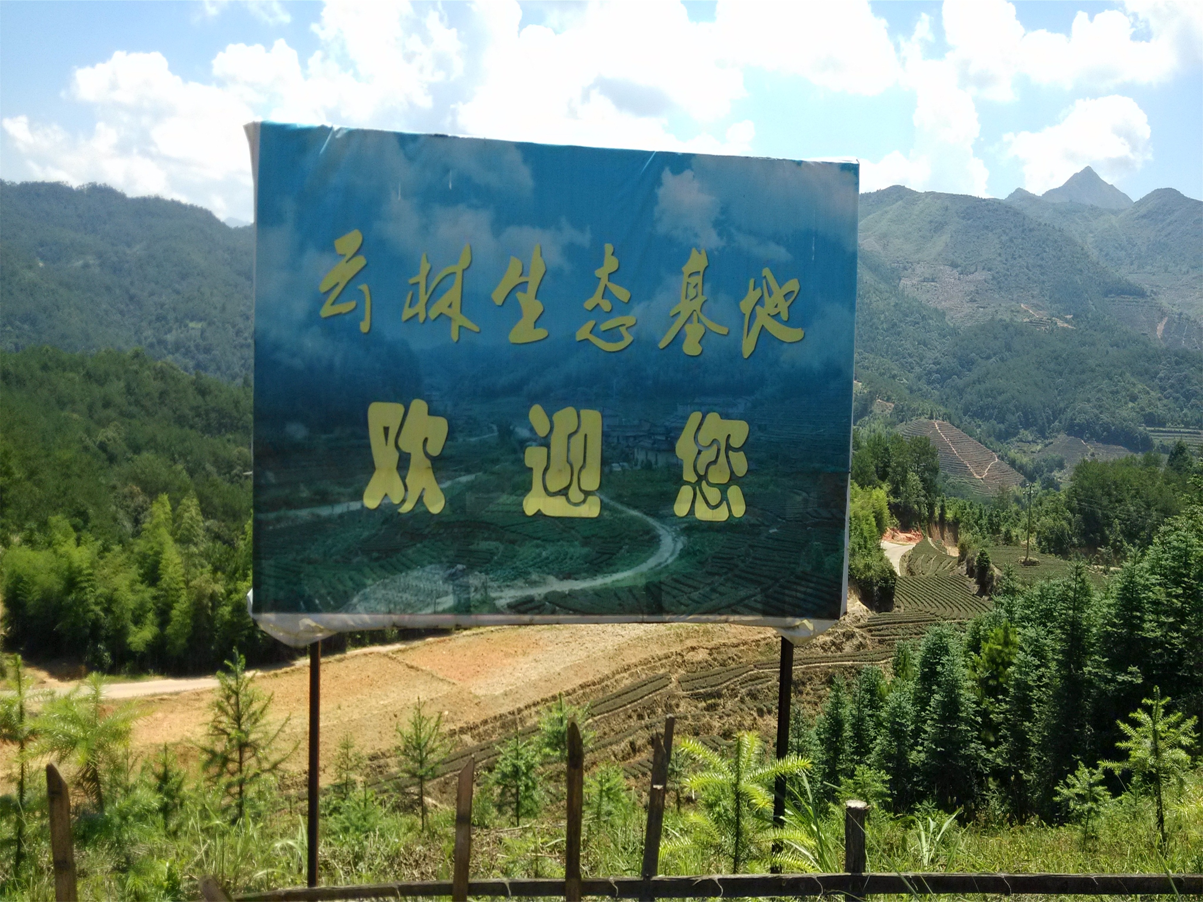 云林生态旅游基地