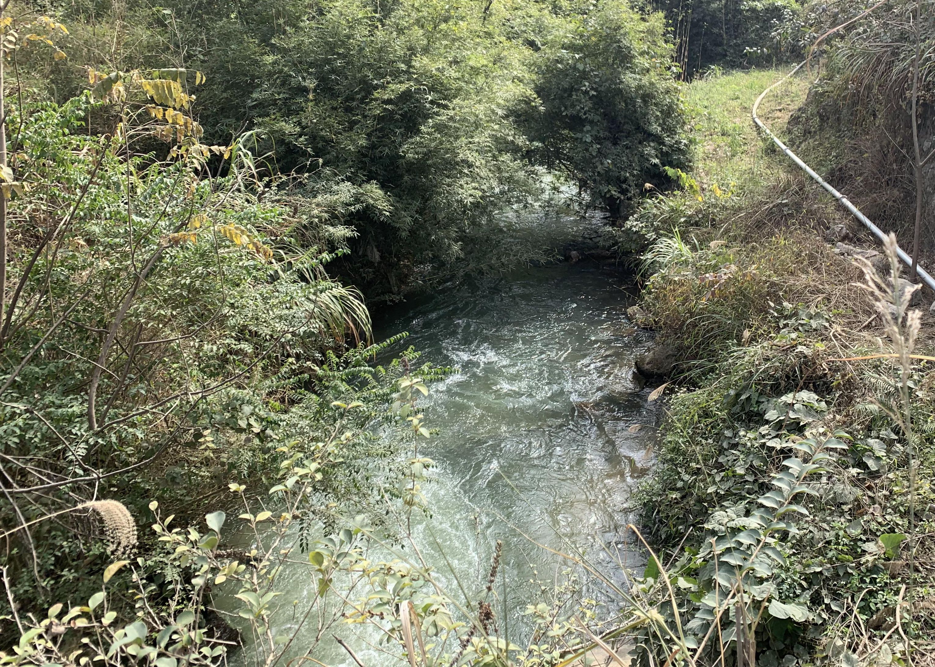 板冠河