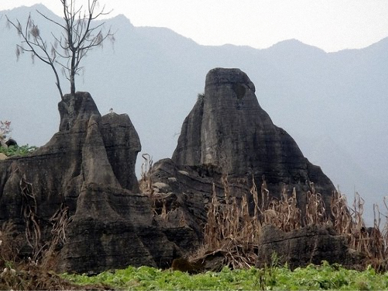 旺草石林风景区