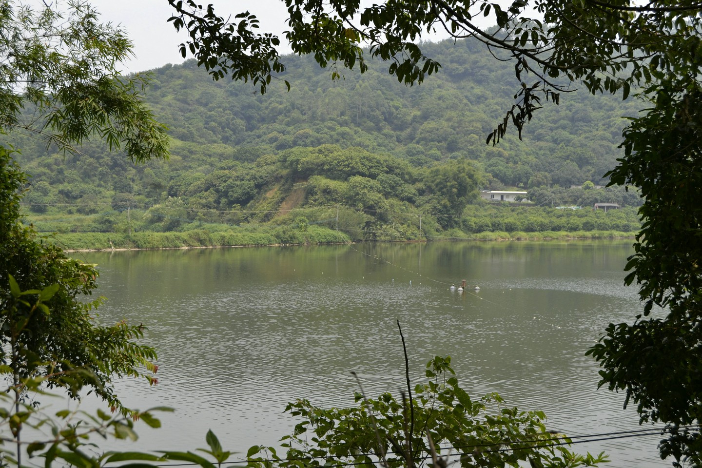 鸡心岭水库