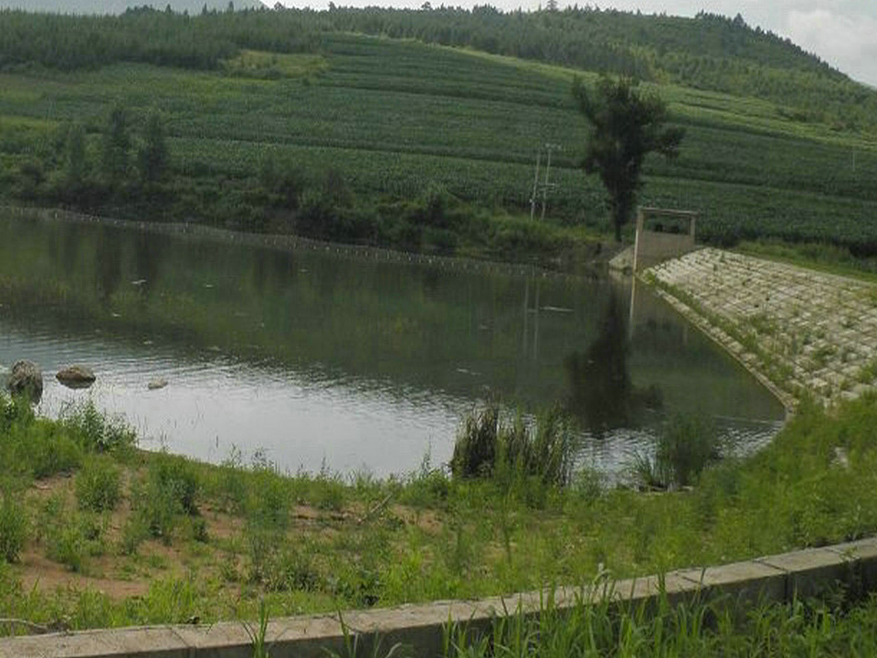 靰鞡草沟水库