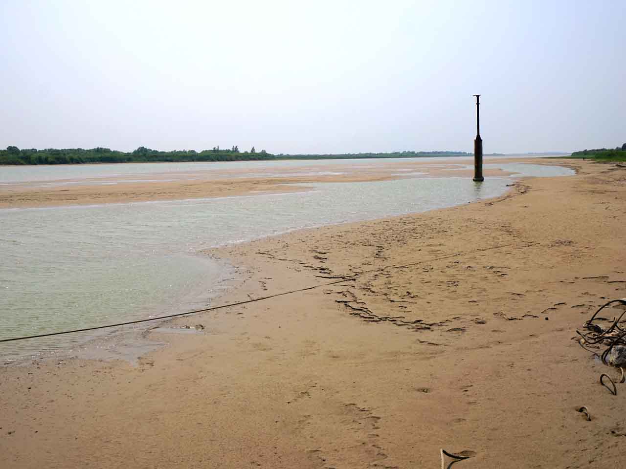 黄河三角洲