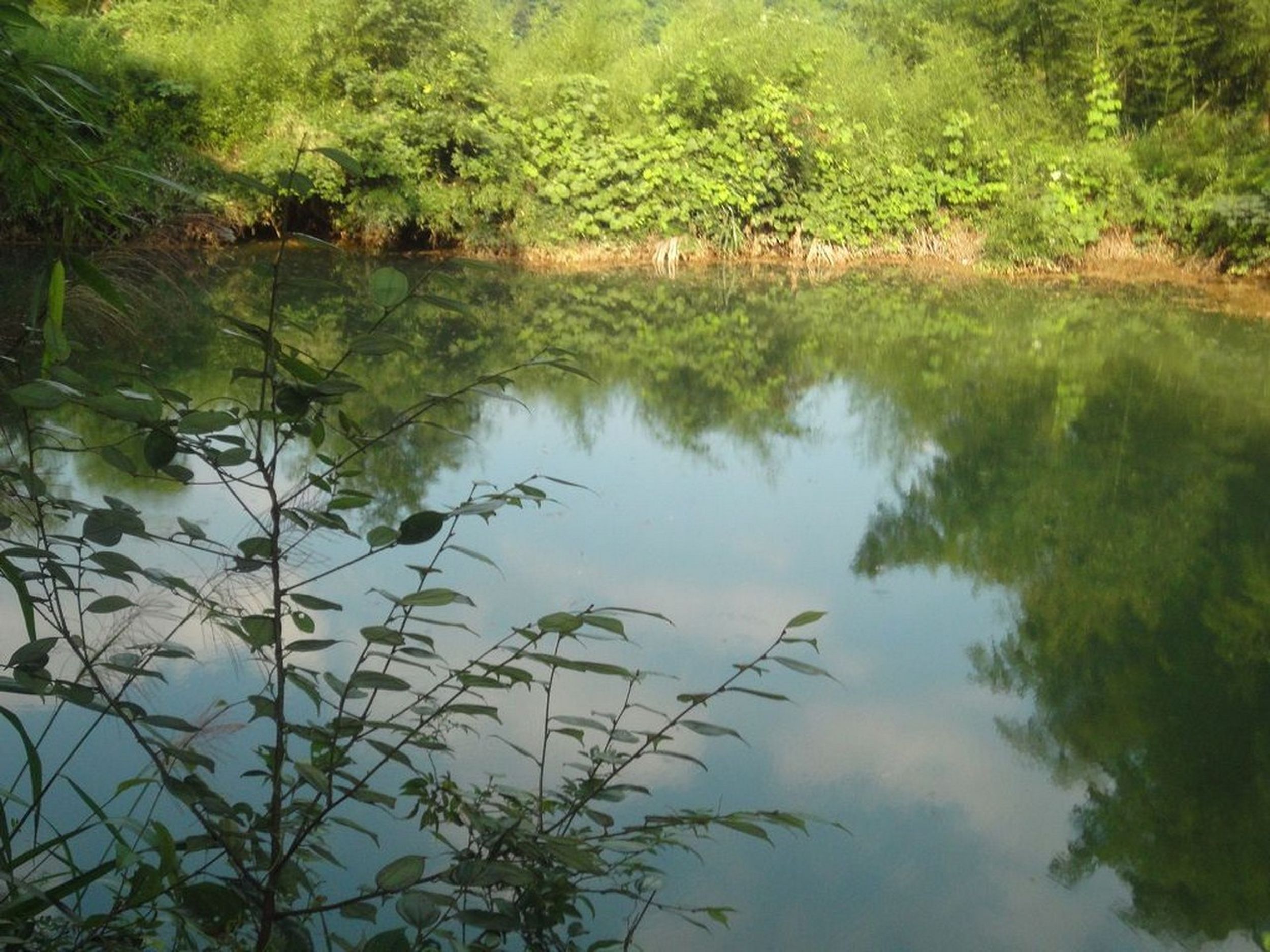 门招坞水库