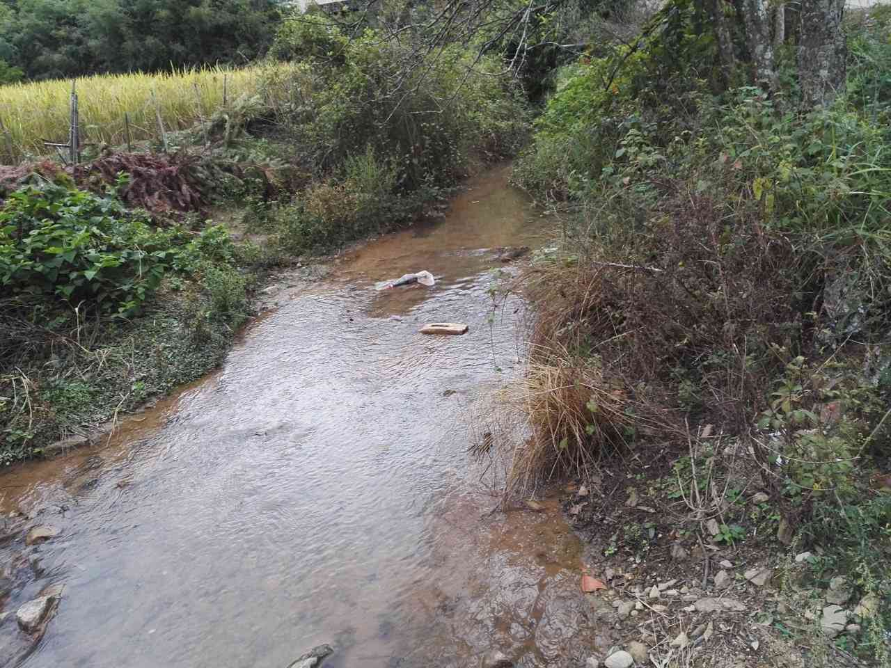 沙溪井溪