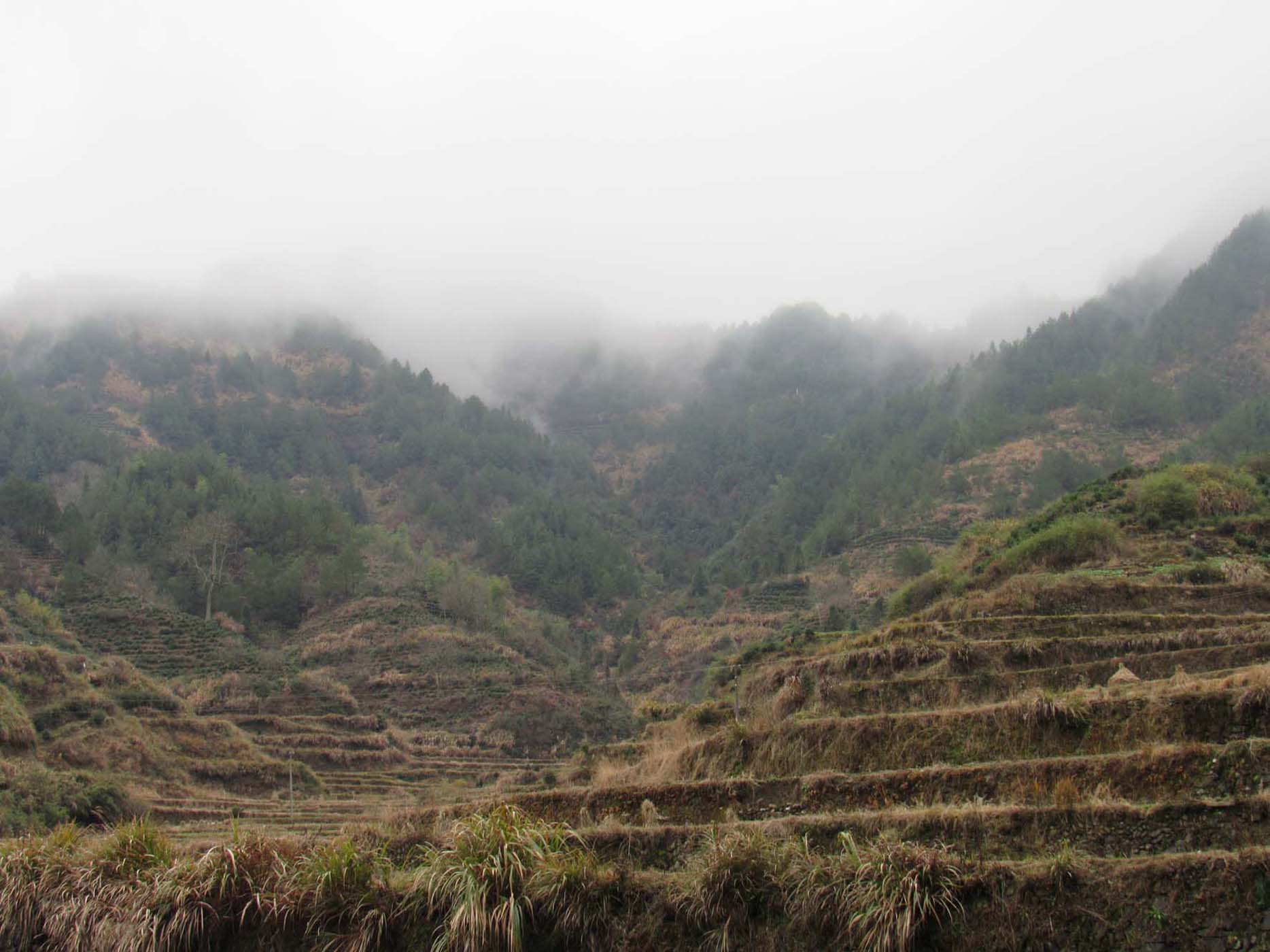 仙寓山风景区