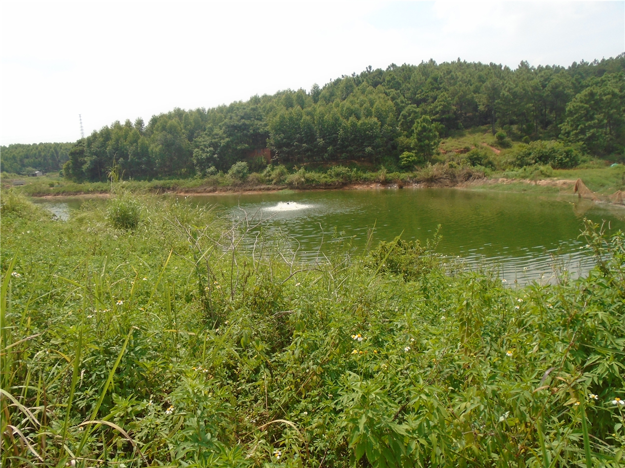 榄岭水库