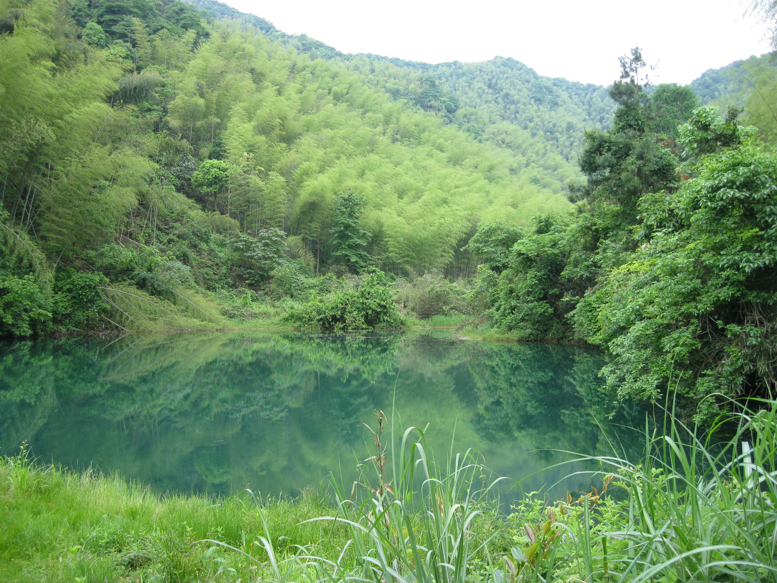 银湖直坞山塘水库