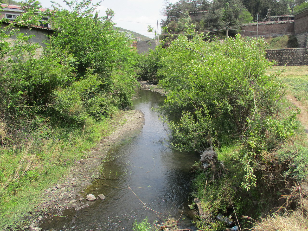 大舍河白马田河湾