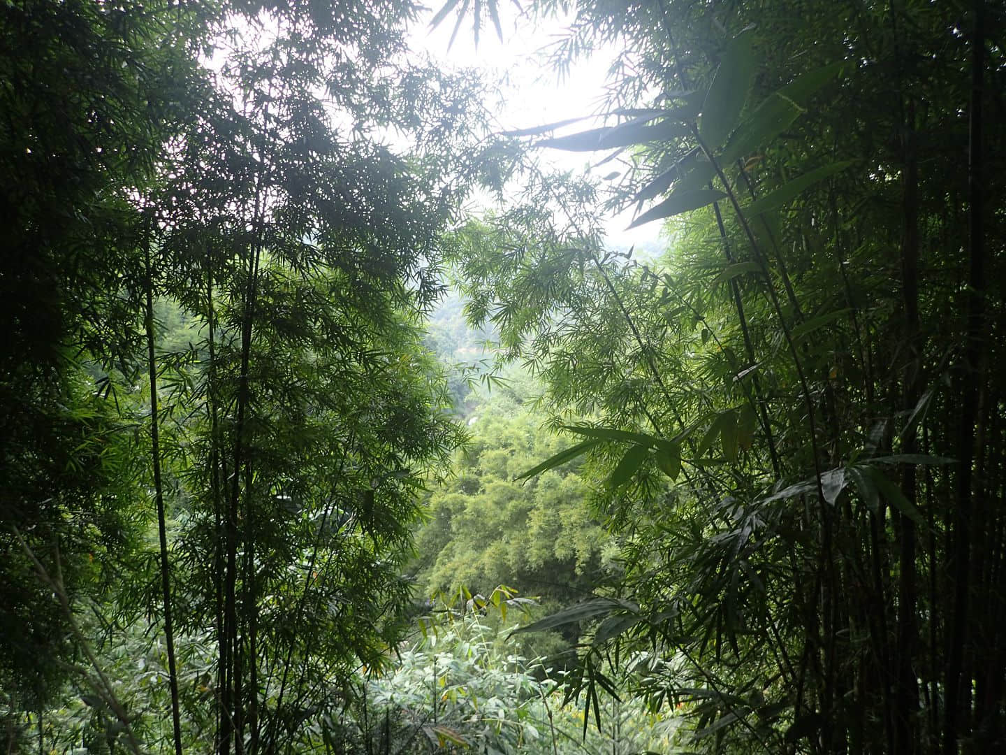 马槽坑水库