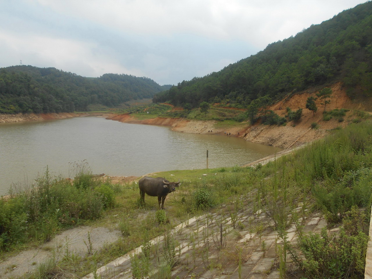 土地口水库