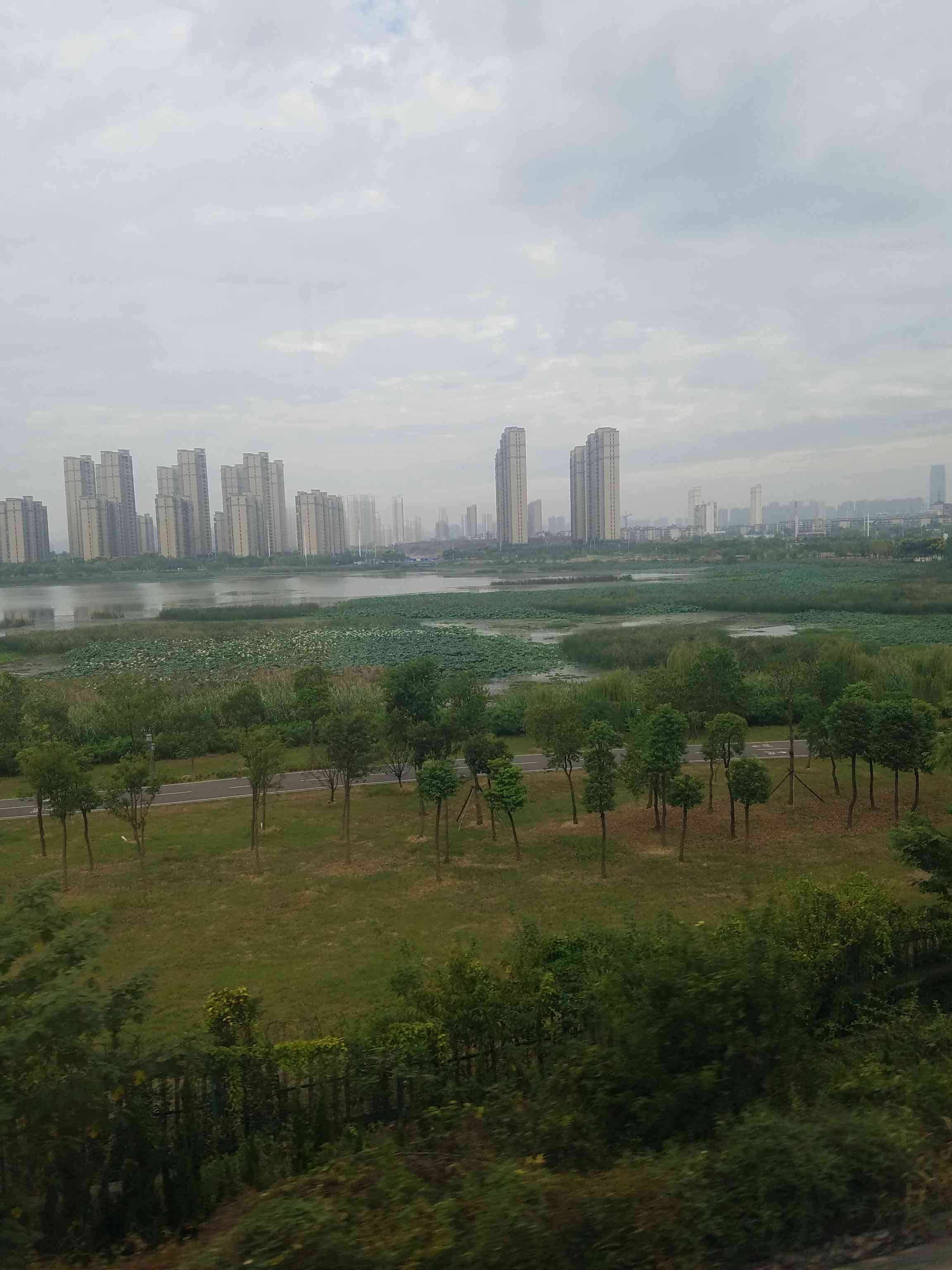 杨春湖城市生态公园