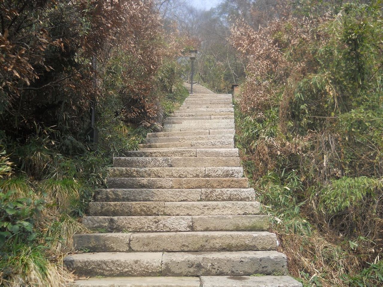 西山湾游步道