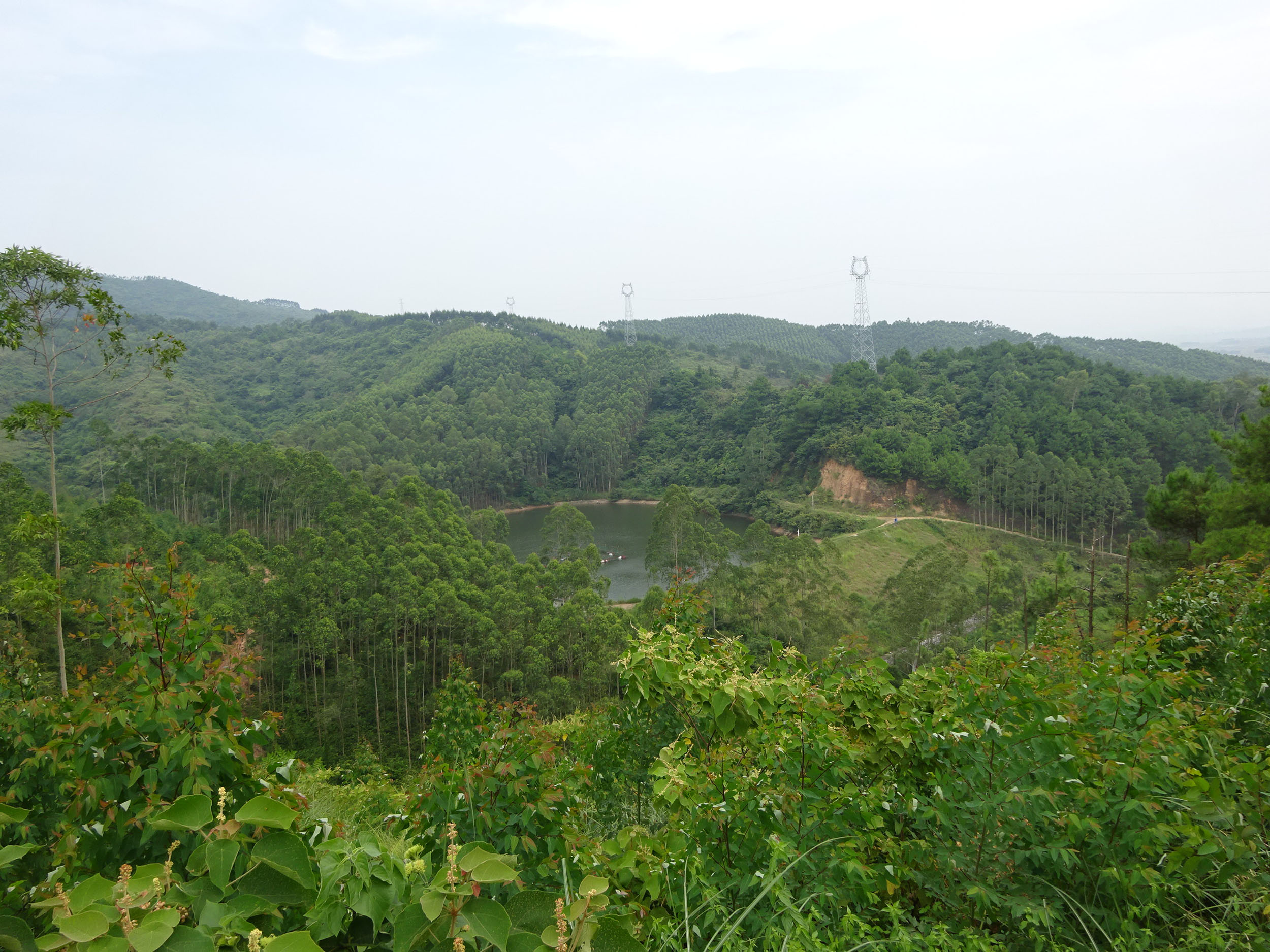 犁口水库