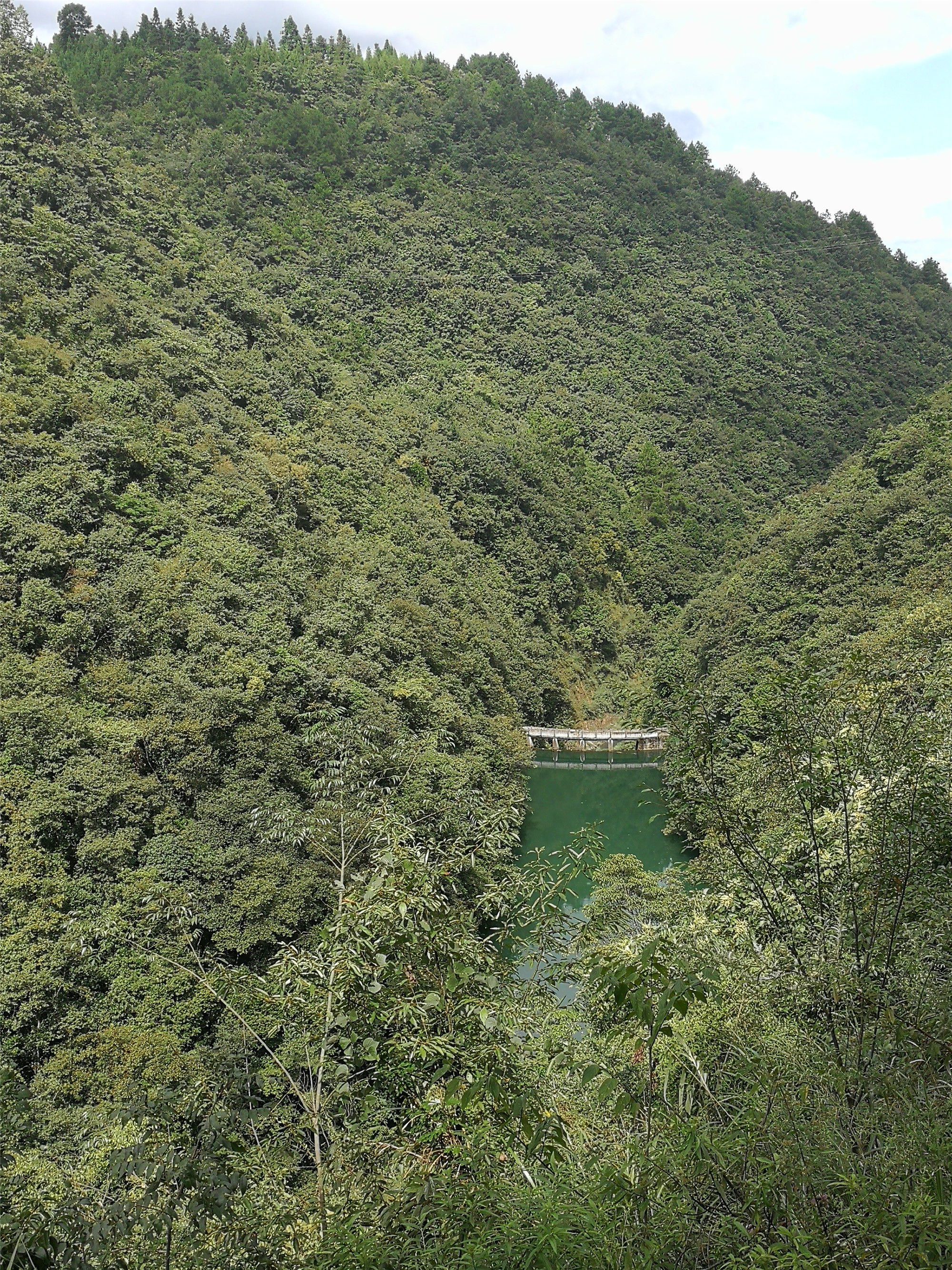 陈家坝水库