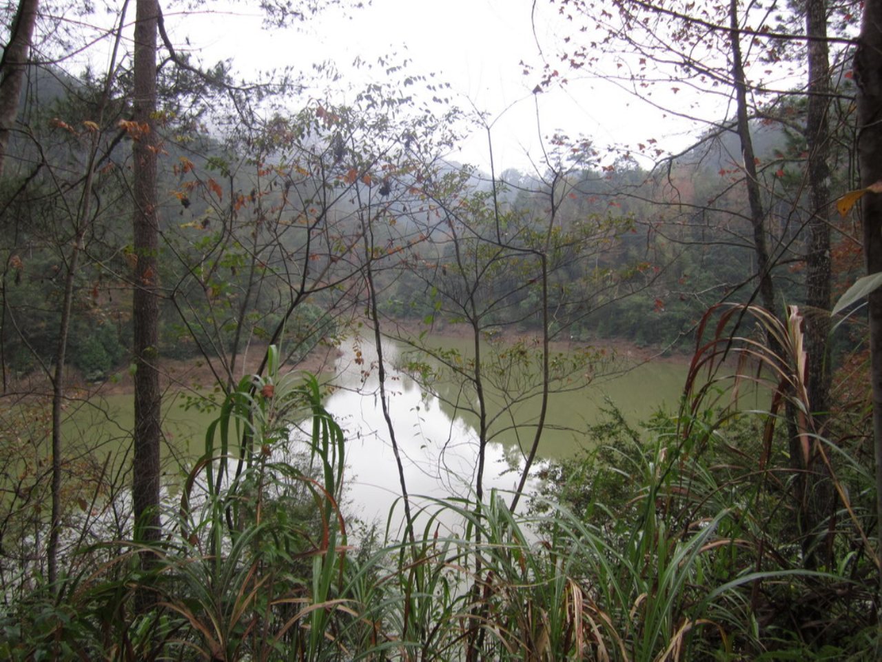 陈坑坂水库