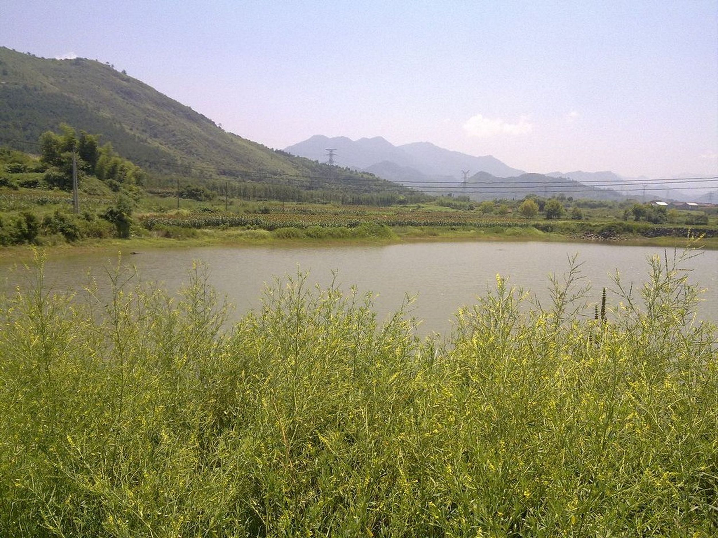 万市大塘水库