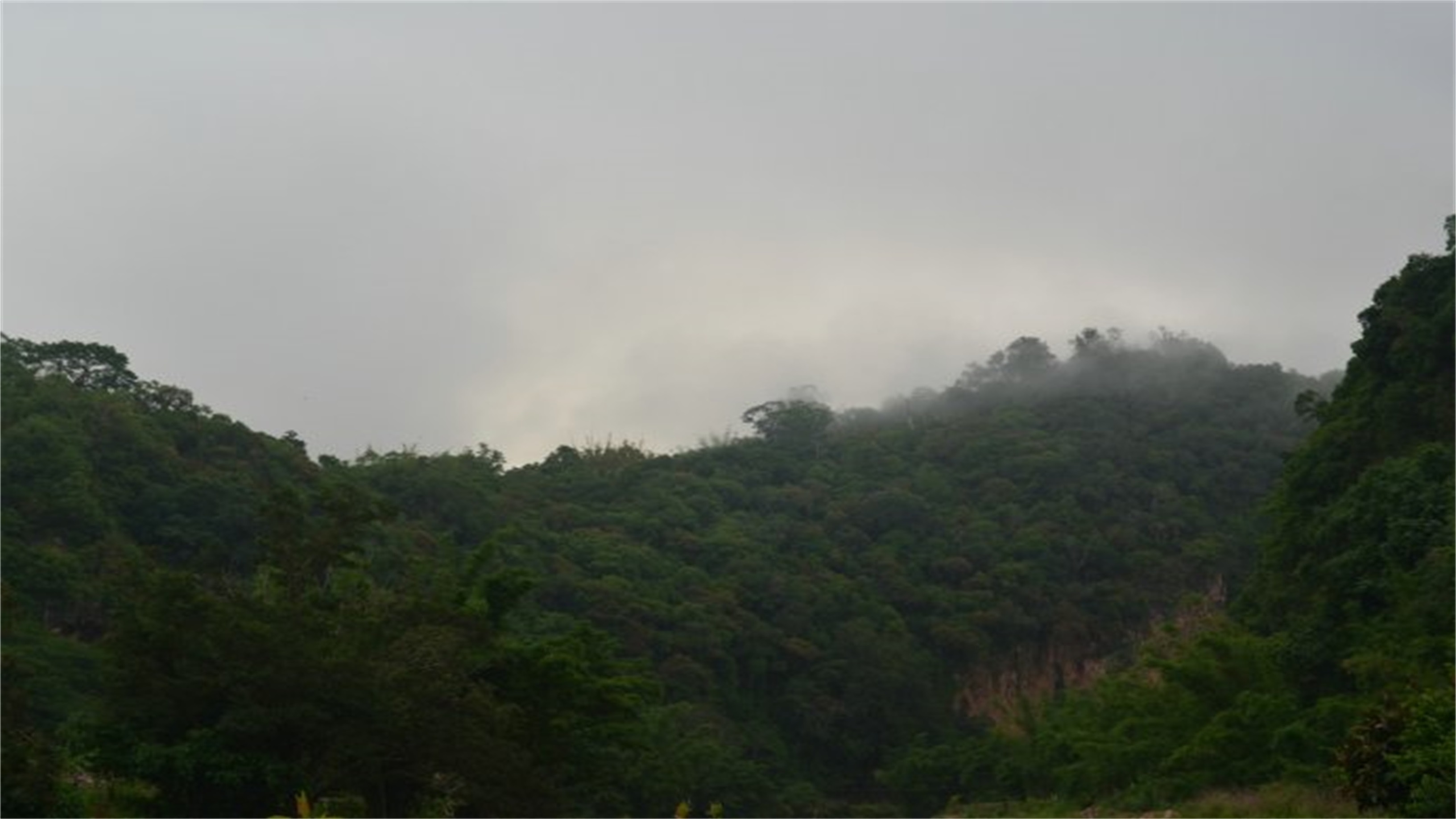 孟连县竜山自然保护区