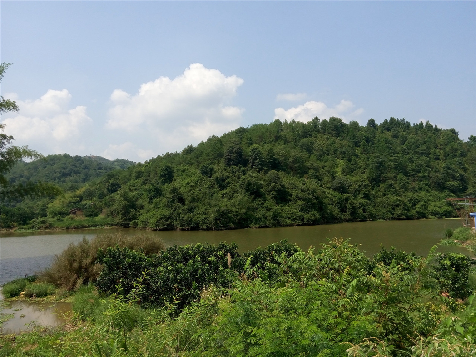 白渡冷水角水库