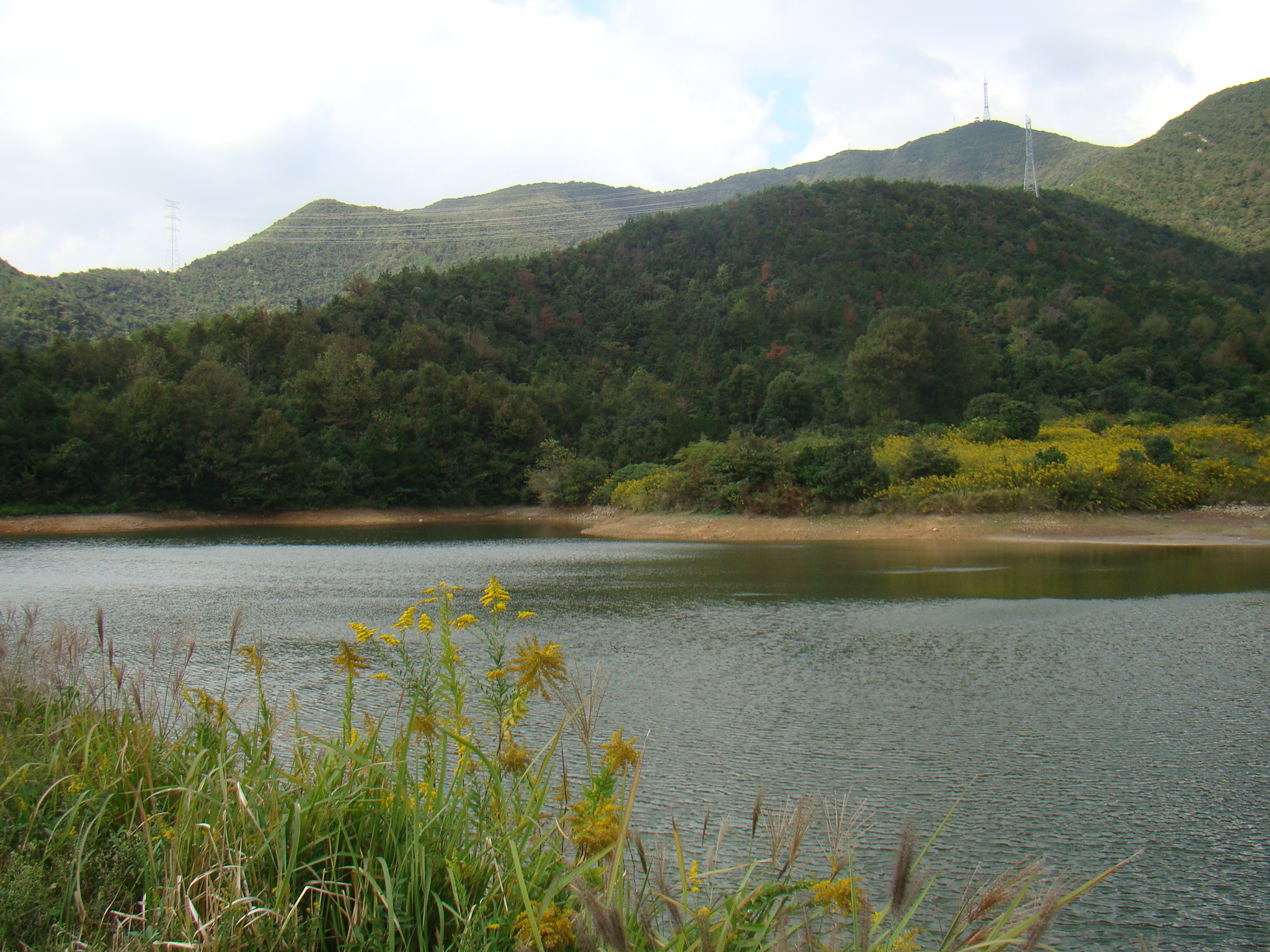 老鼠山水库