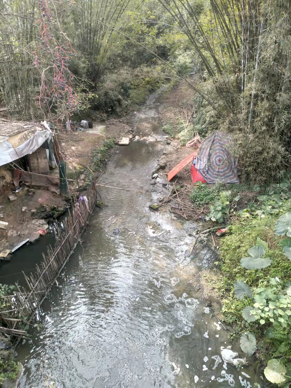 长龙沟