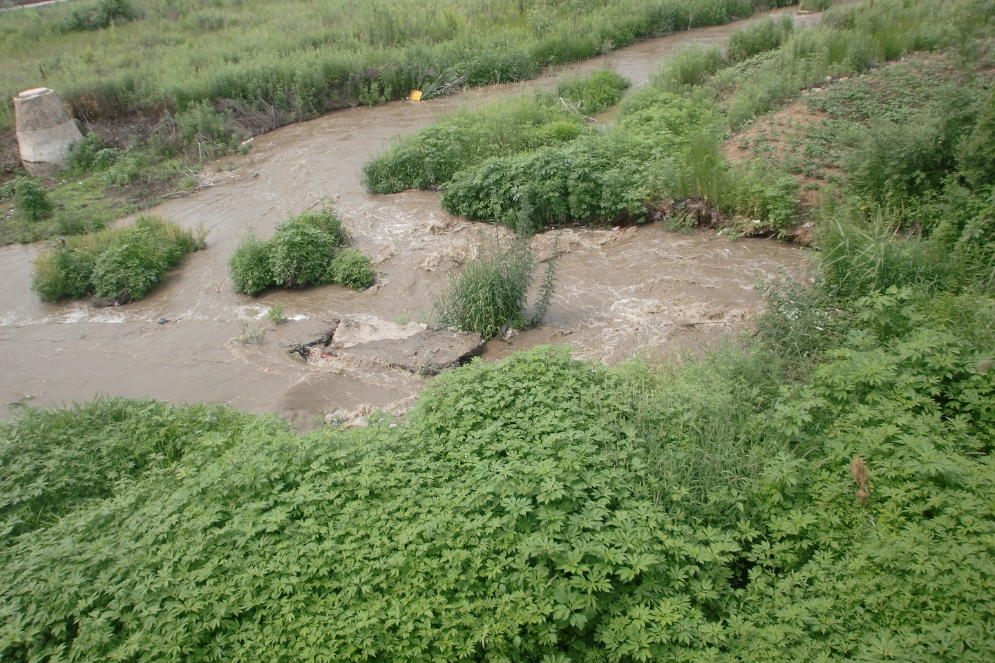 东洲河