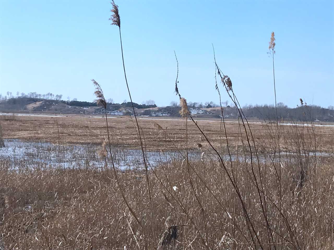 大明泡