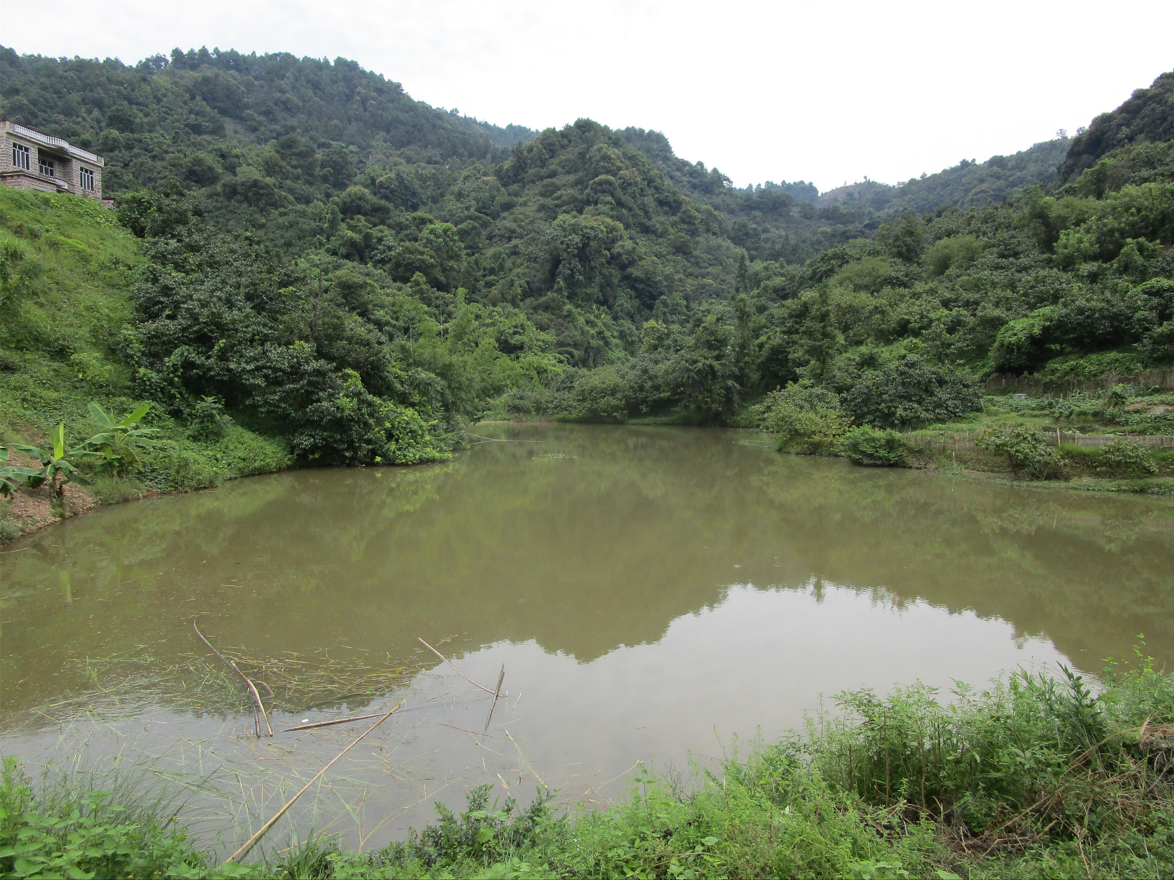 大冲脑水库