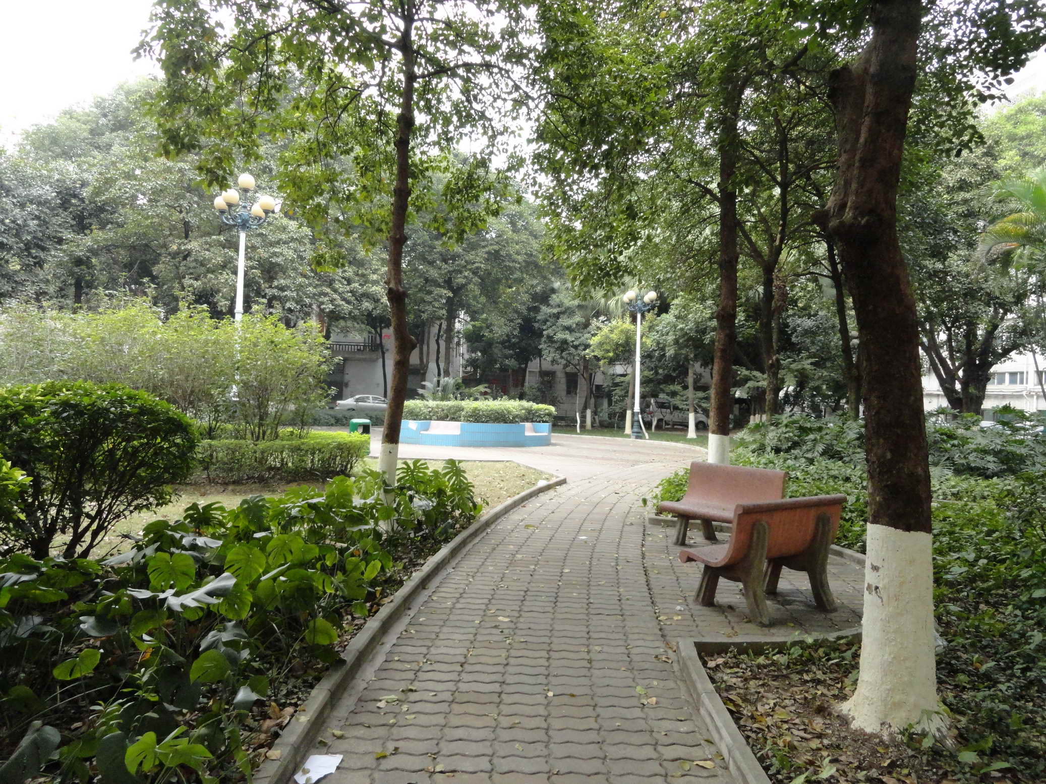 红棉东公园