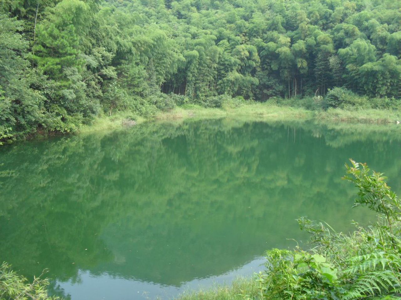 铜溪坞水库