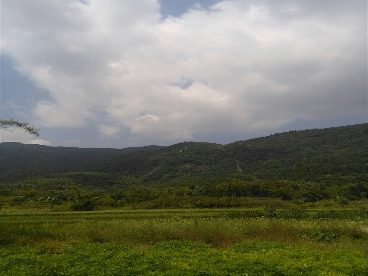 海景高尔夫度假村