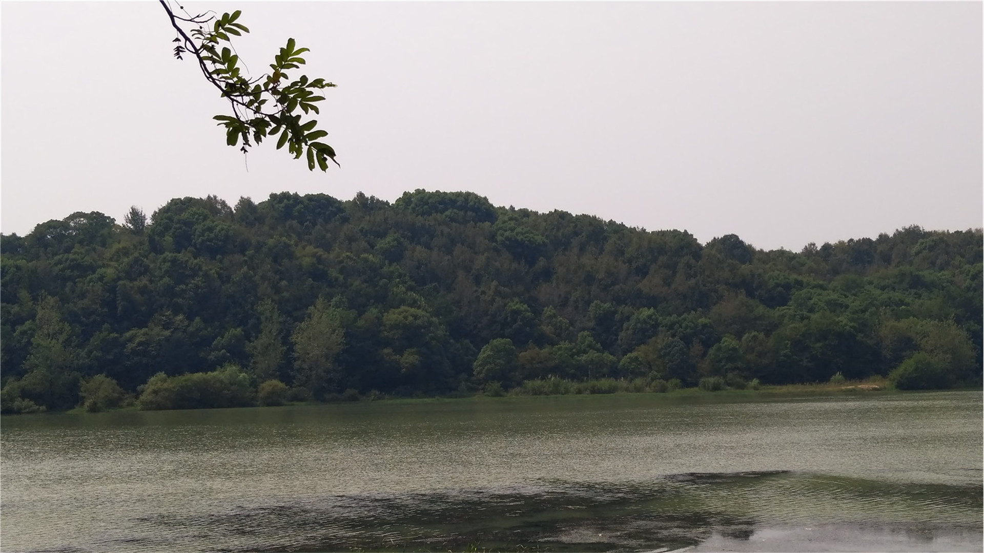 冶塘湖