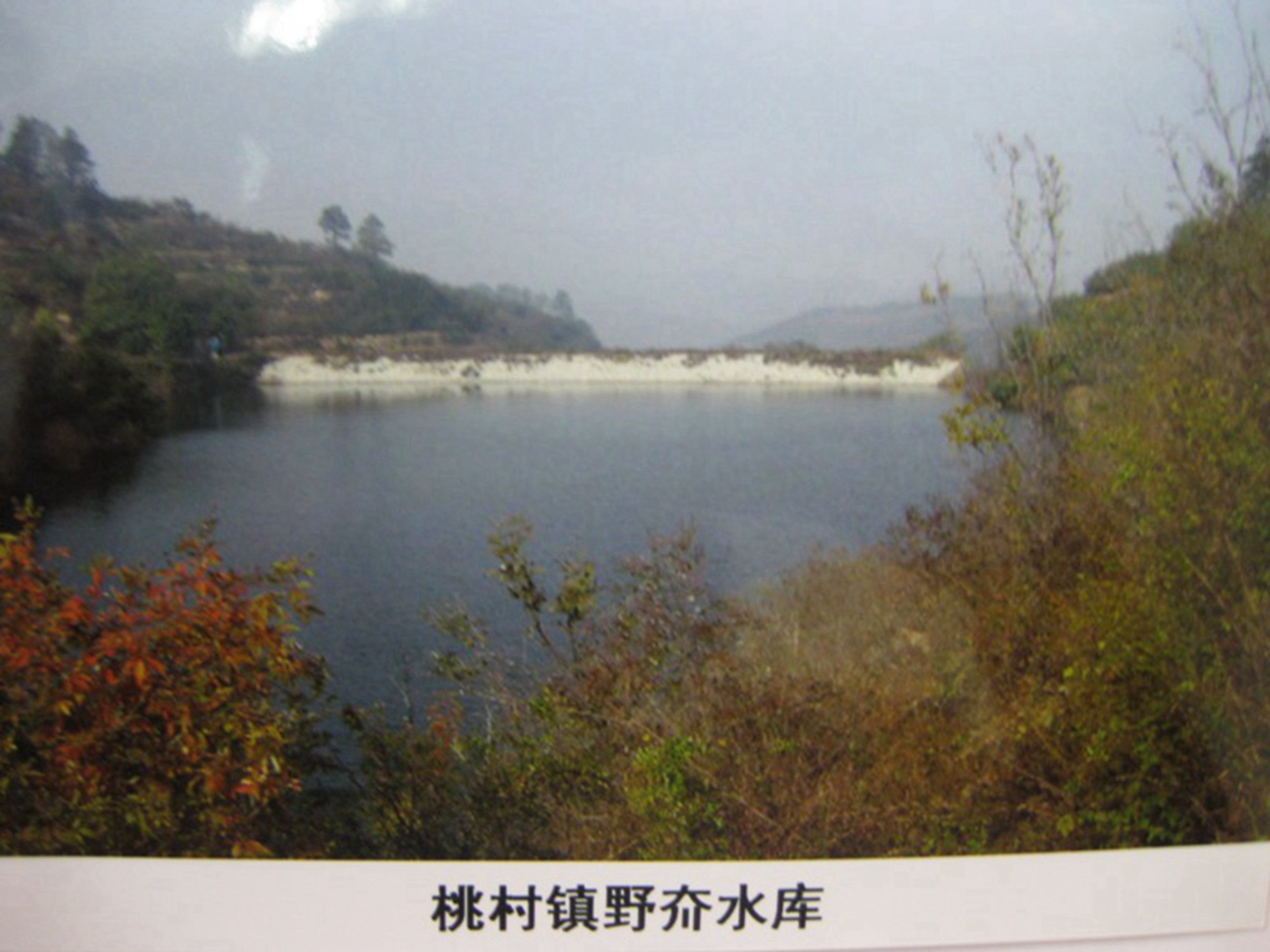 野夼东沟水库