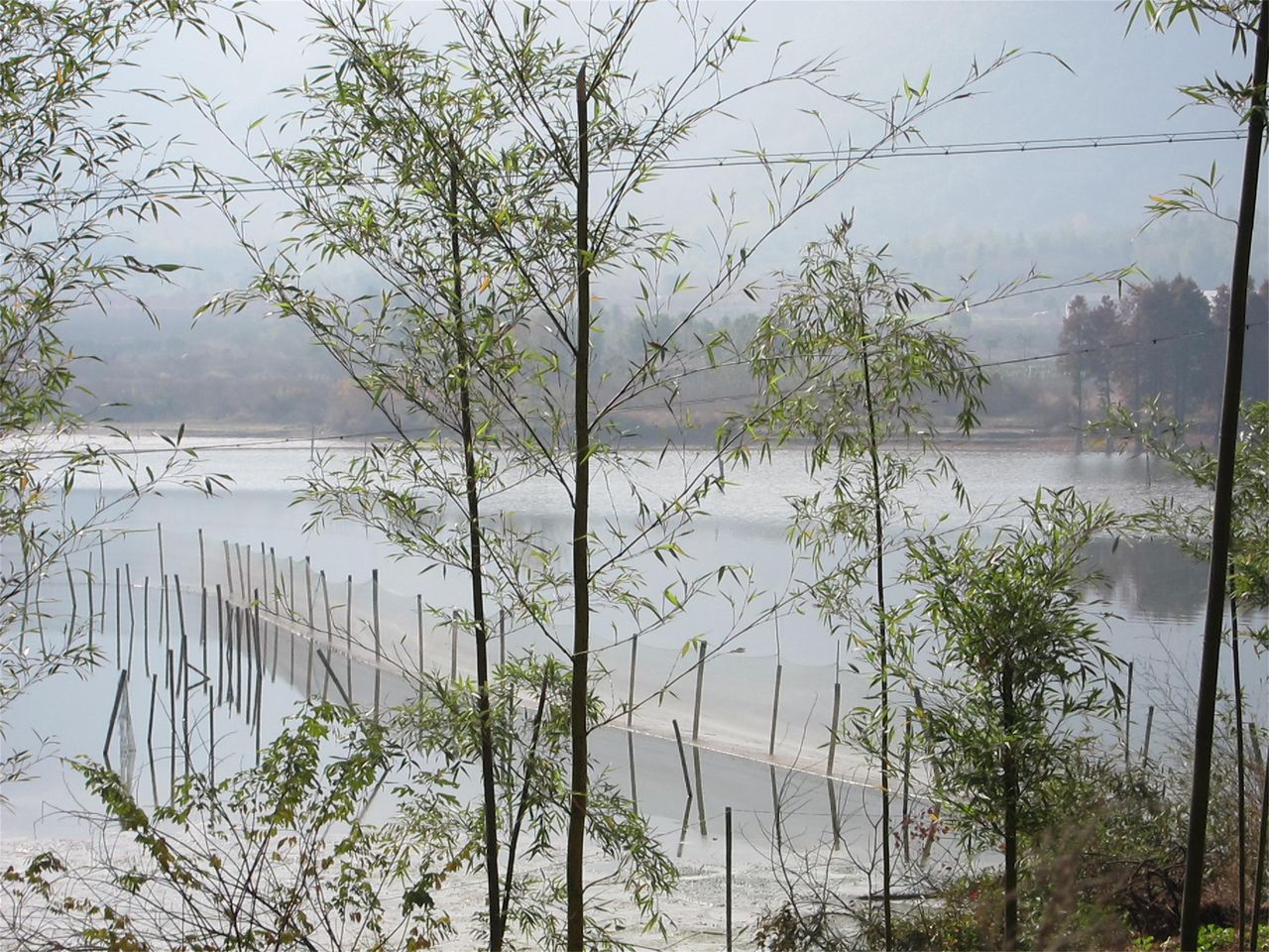 麻岙水库