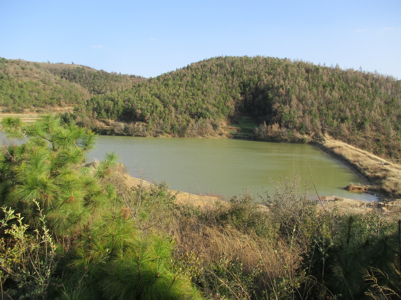 泥鳅塘水库