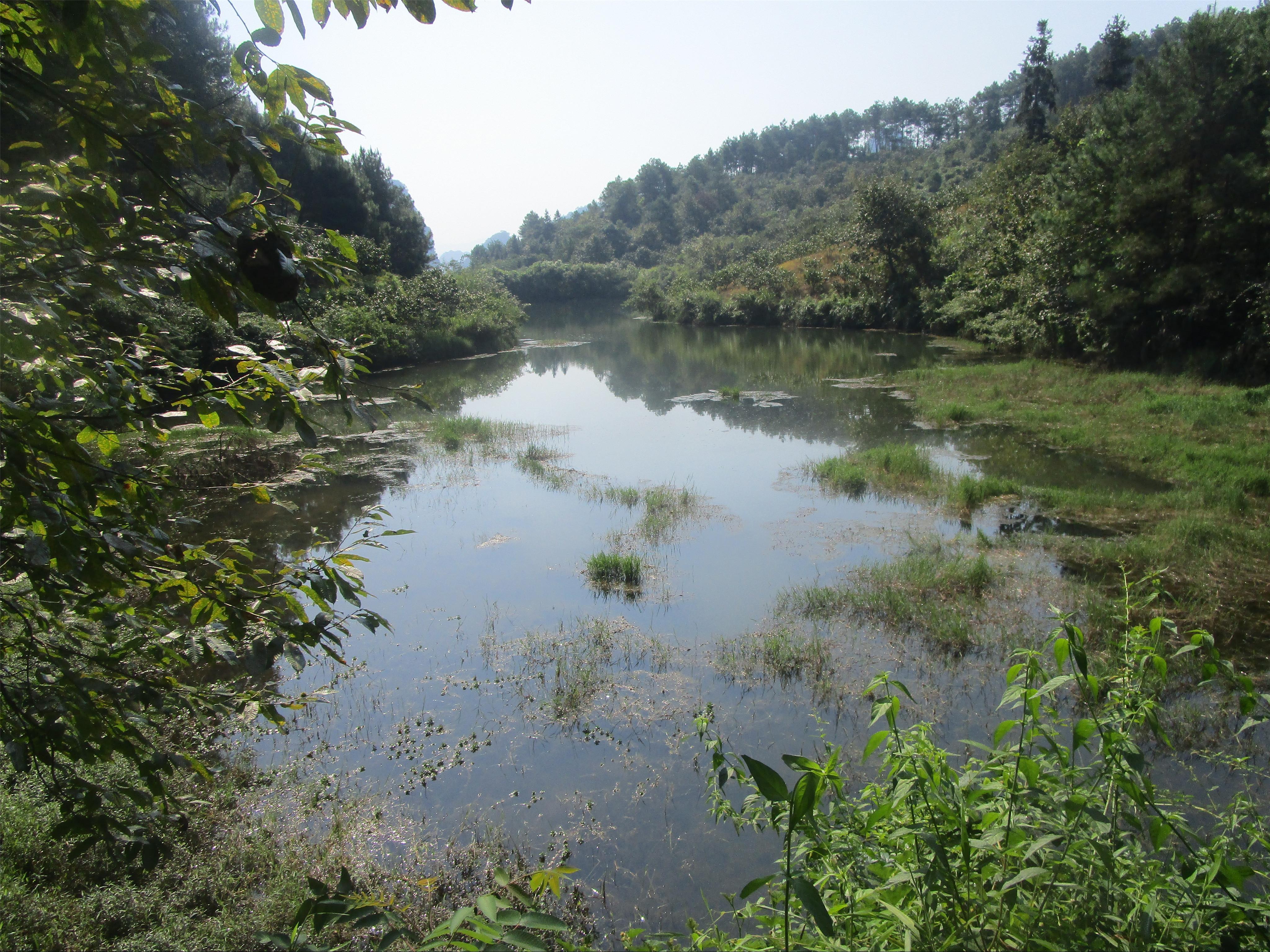 岭尾水库