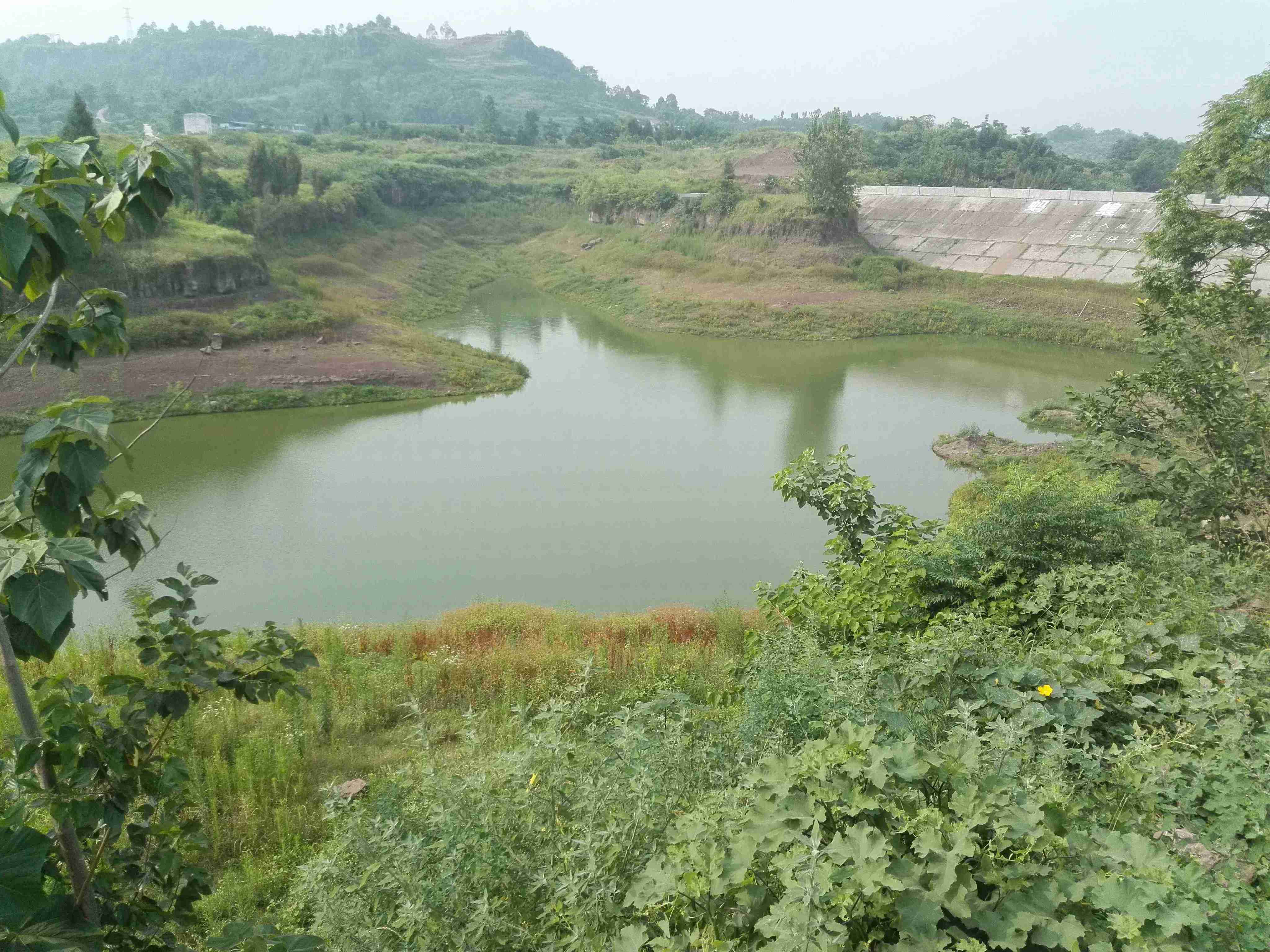 蚂蝗沟水库