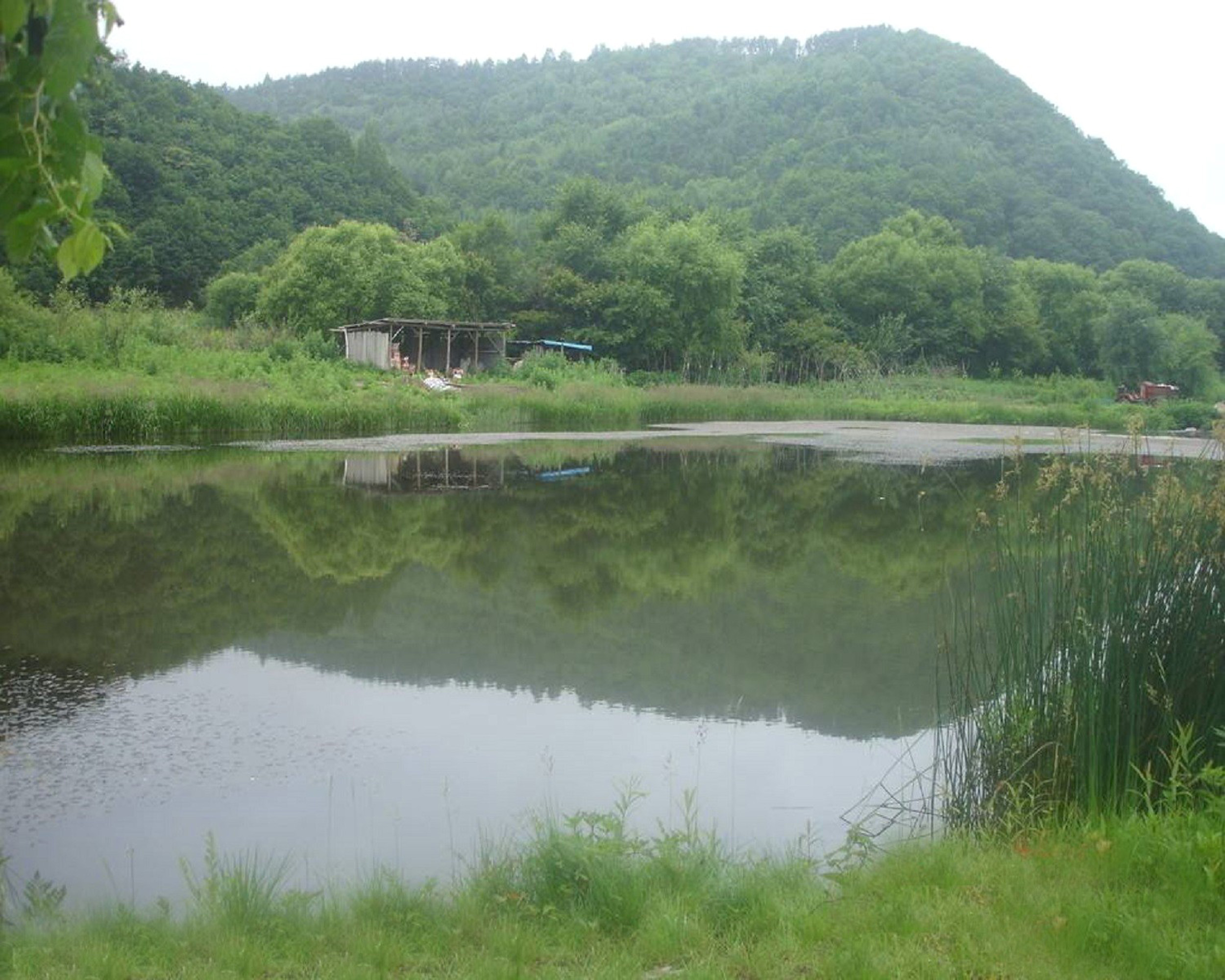 莲花山水库二库