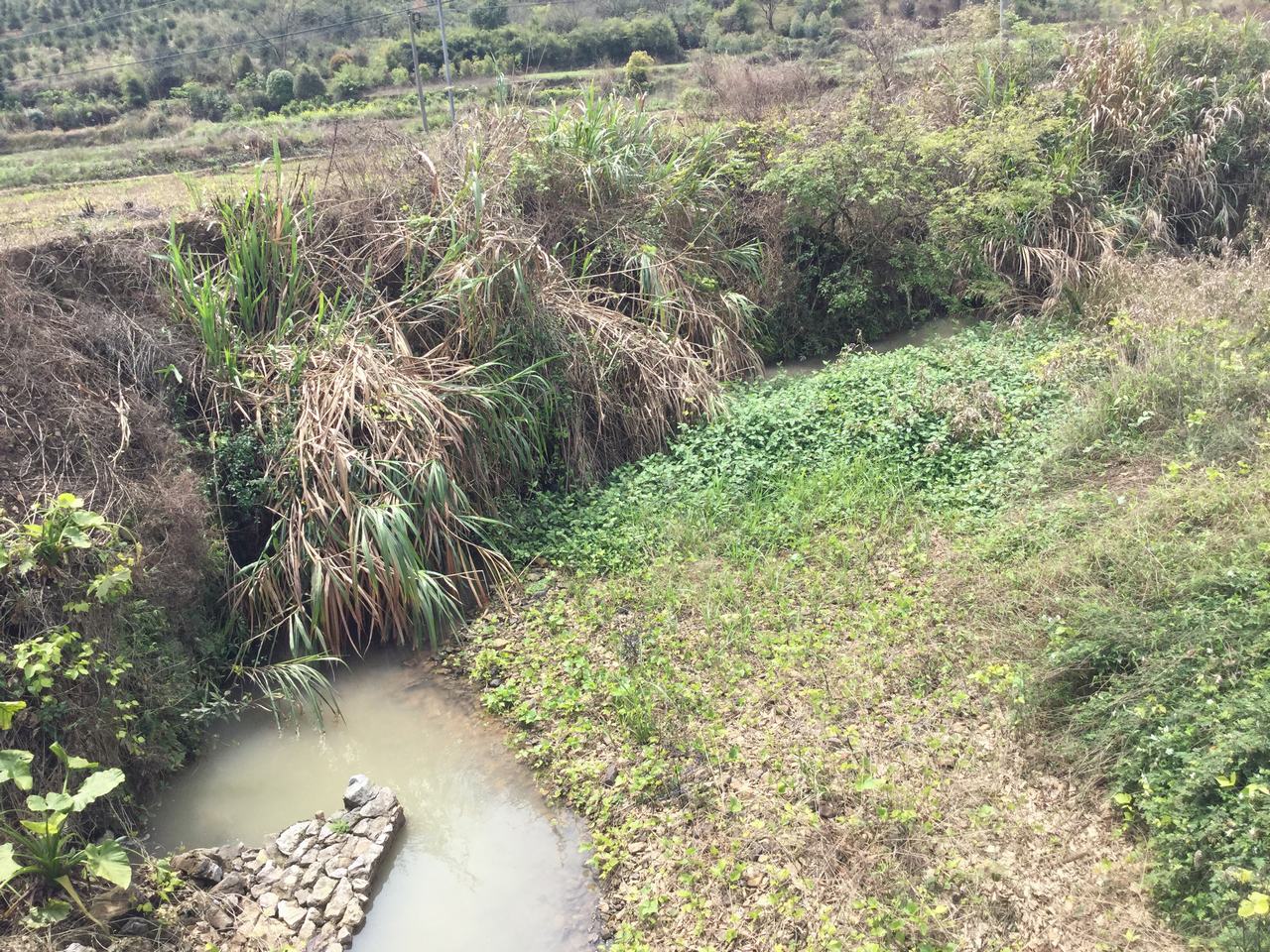 深岭河