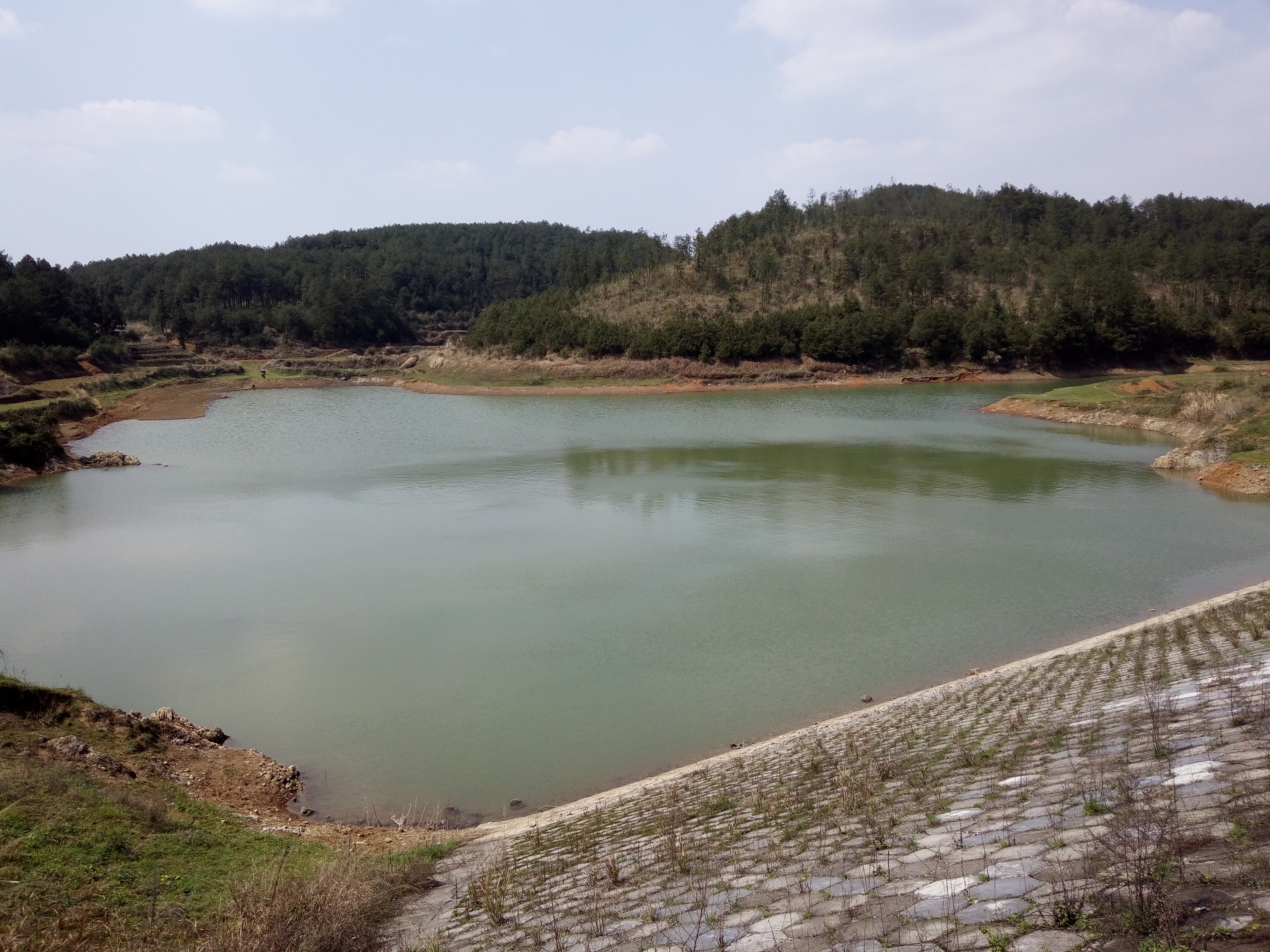 野猫塘水库